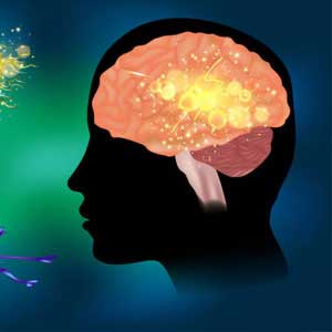 Epilepsy Treatment in Hyderabad