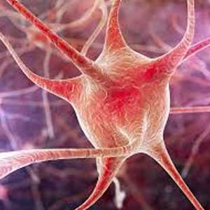 Motor neuron treatment